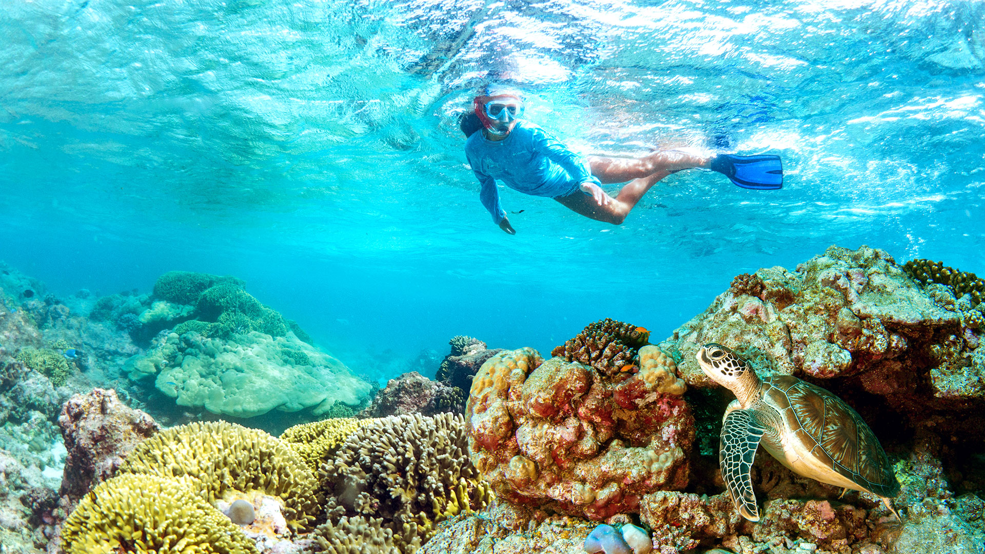 alphonse experience snorkeling