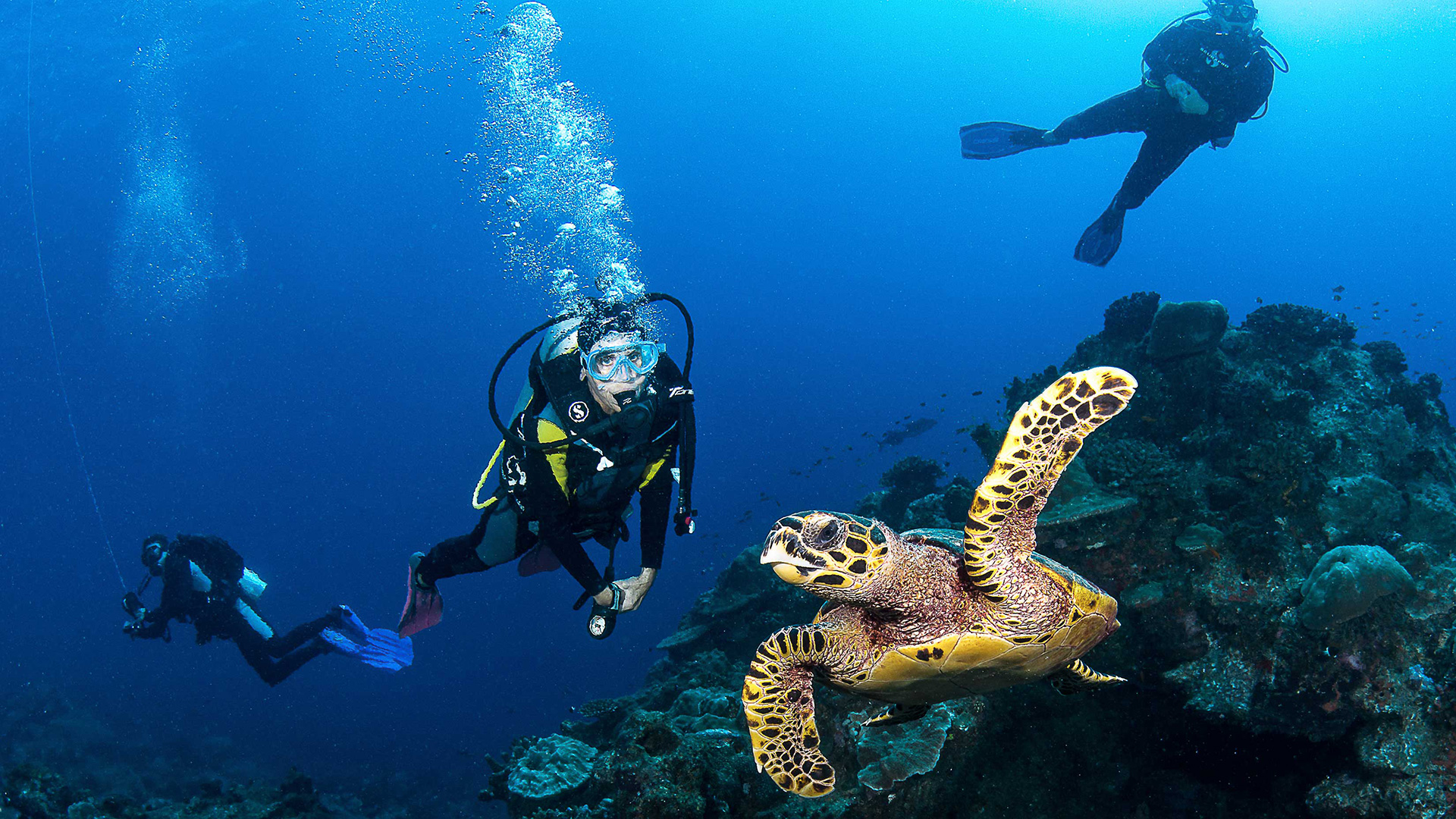 astove_scuba_diving_seychelles