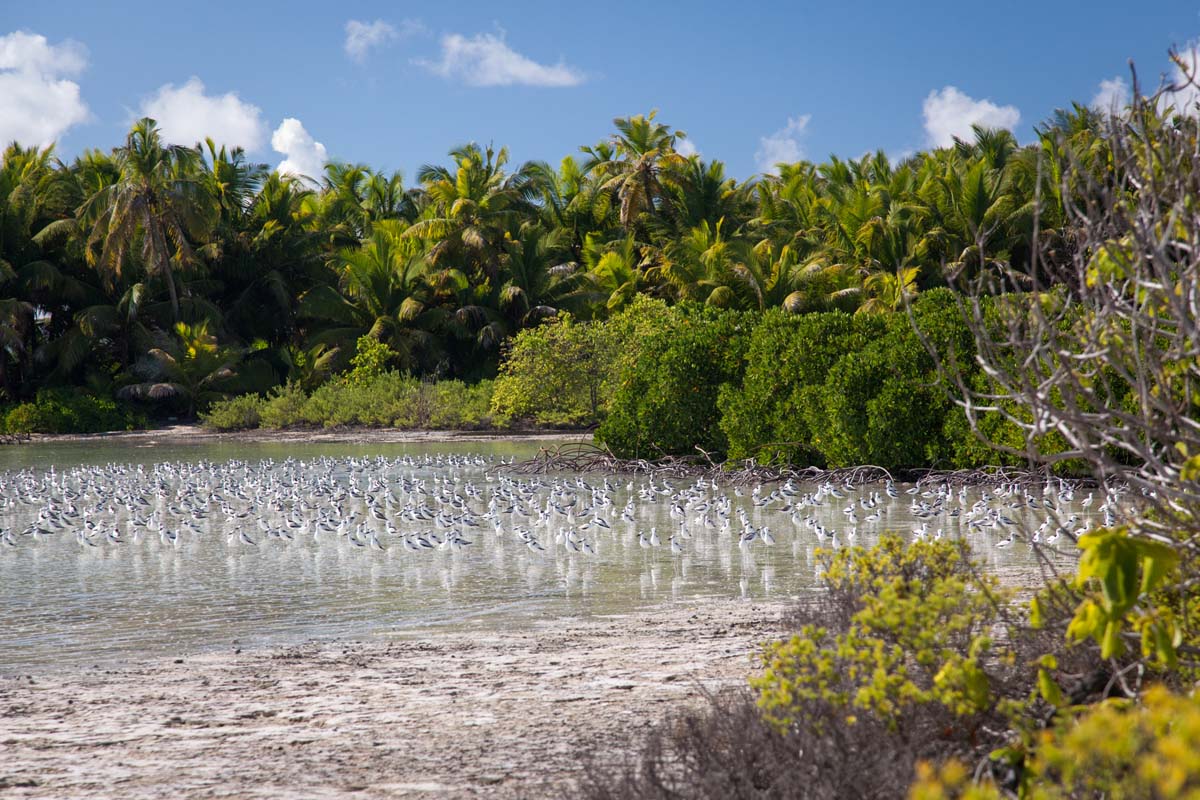 alphonse experience island activities walk st francois 02